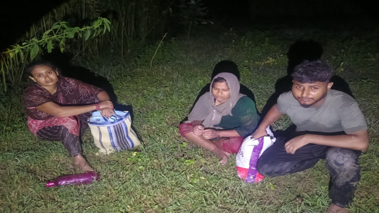 চুয়াডাঙ্গার জীবননগর সীমান্তে তিন জনকে পুশ-ইন চেষ্ট...