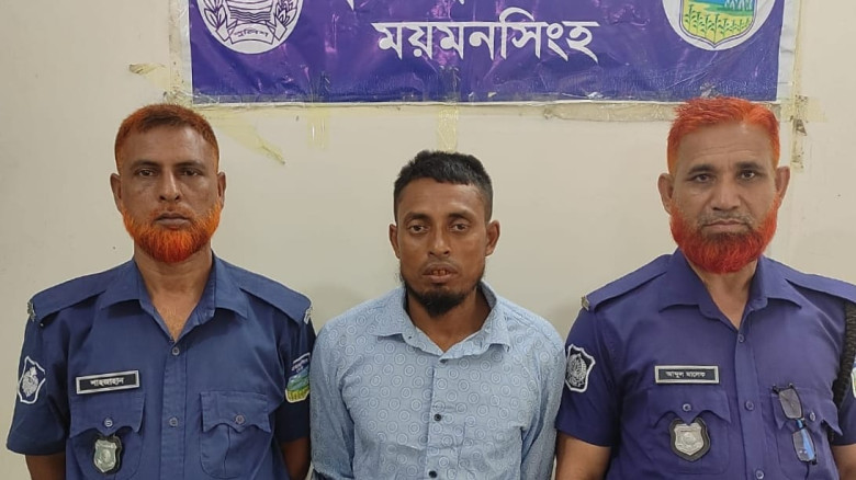 কালভার্টে পুলিশের অভিযান, ২০ ইয়াবাসহ ফুলপুরে আটক ১...