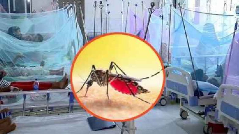 ডেঙ্গুতে আরও  দুইজনের মৃত্যু, হাসপাতালে ভর্তি ৭২৩