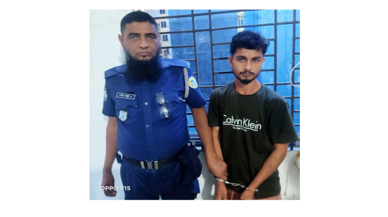 নেছারাবাদে প্রবাসীর বাড়িতে দিনে-দুপুরে ডাকাতি করতে...