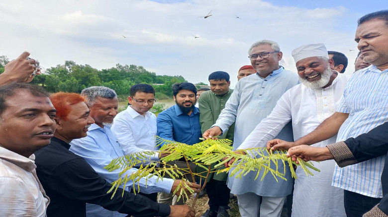 ক্ষেতলালে ৫ হাজার গাছের চারা রোপণ কর্মসূচির উদ্বোধ...